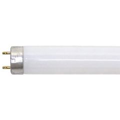 GE LGHT F28T8/CW/46PK FLUOR LAMP