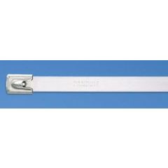 PAND MLT2H-LP 2" SS CABLE TIE