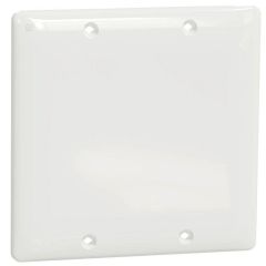 SQD SQWS140002WH 2G WALL PLATE