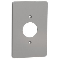SQD SQWS422001GY 1G WALL PLATE