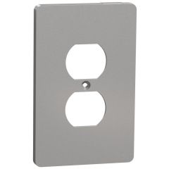 SQD SQWS422011GY 1G WALL PLATE